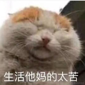 他说丶于2020-11-17 17:33发布的图片