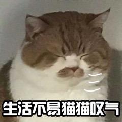 平平无奇的欧皇于2023-06-12 15:07发布的图片