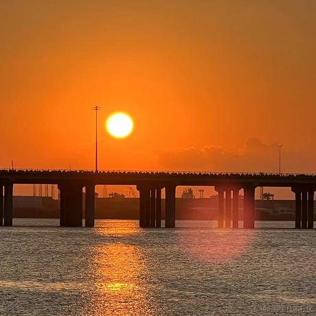 大嘟嘟于2022-10-06 20:55发布的图片