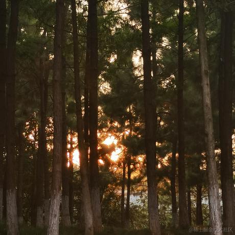 芦苇269于2023-08-29 20:06发布的图片