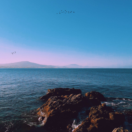 蚂蚁richlab前端团队的个人主页