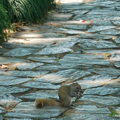 通惠管理顾问于2023-06-19 15:05发布的图片
