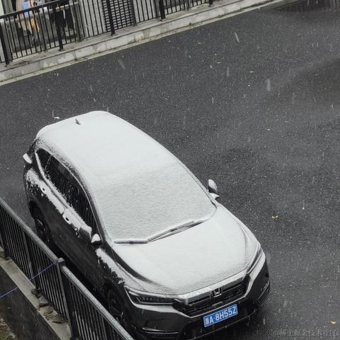 风信子离开向晚于2022-11-30 23:05发布的图片