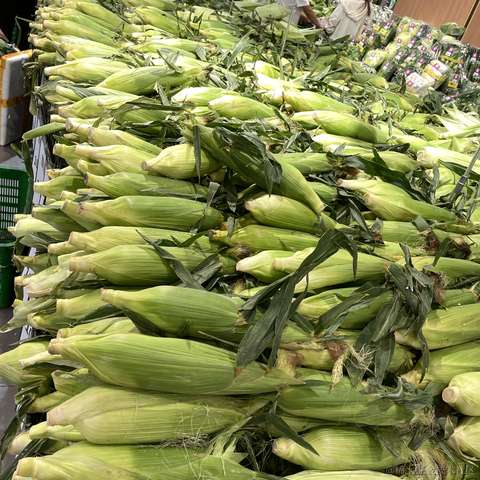 百年孤独html于2023-05-16 17:05发布的图片