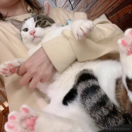 来快活呀于2021-11-23 09:19发布的图片