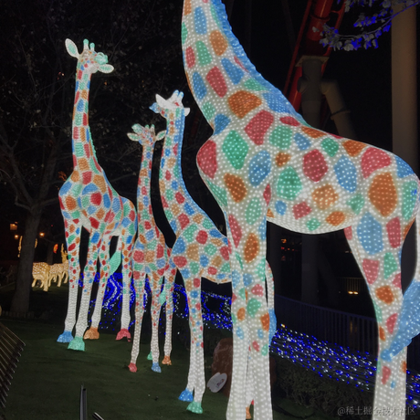 秋秋秋糖于2023-06-01 13:15发布的图片