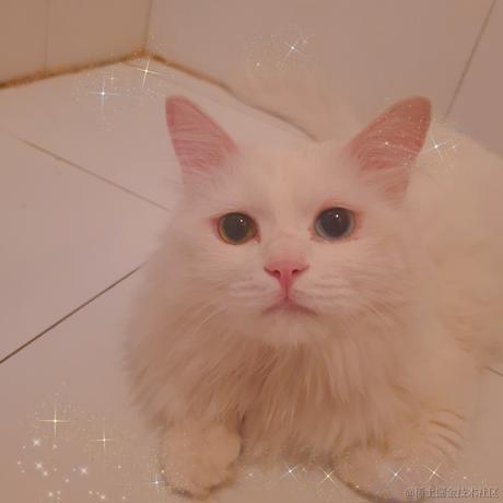 MisterBlank于2022-06-17 06:16发布的图片