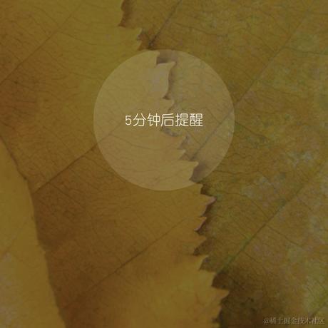 sunseekers于2021-01-24 19:58发布的图片