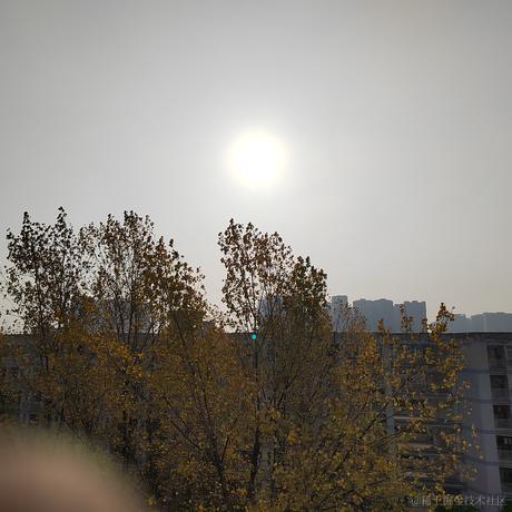 夏韭菜于2022-11-16 09:54发布的图片