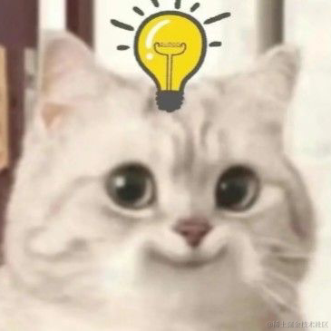 大肥咕于2022-12-01 04:05发布的图片