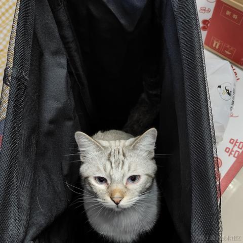 苦你寄哇于2024-05-12 19:34发布的图片