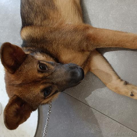 心想事成717于2023-06-25 14:24发布的图片