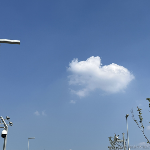 你可别怂啊于2023-10-20 10:59发布的图片