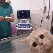 也似拢清风的个人资料头像