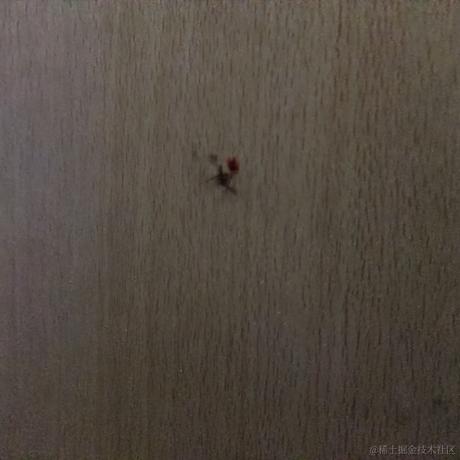 嘉心有糖自然甜于2022-11-28 19:30发布的图片