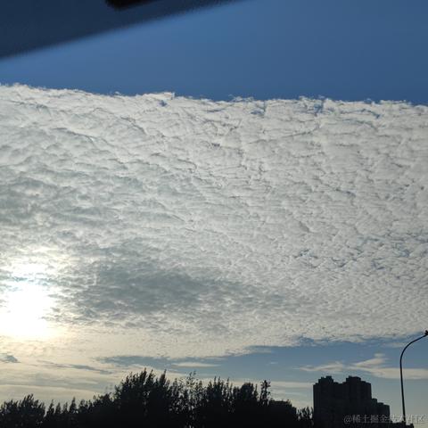 花花的专业于2023-07-01 06:53发布的图片