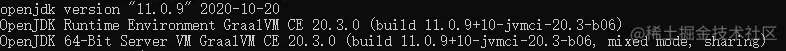 java -version