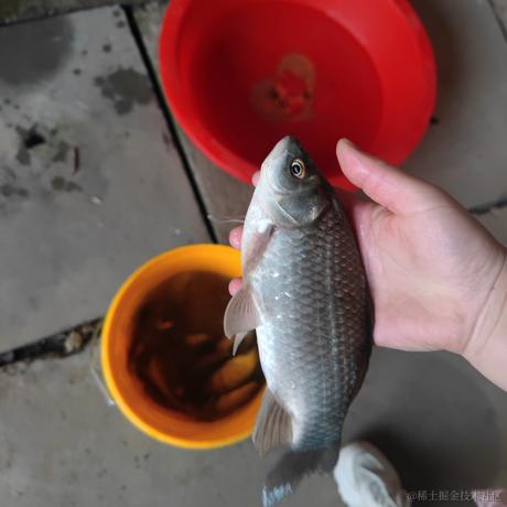 深挖掘金于2023-01-09 22:44发布的图片