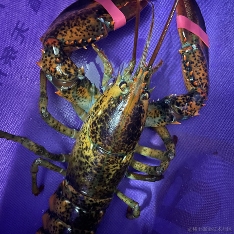 从热河到定西于2021-11-22 10:29发布的图片