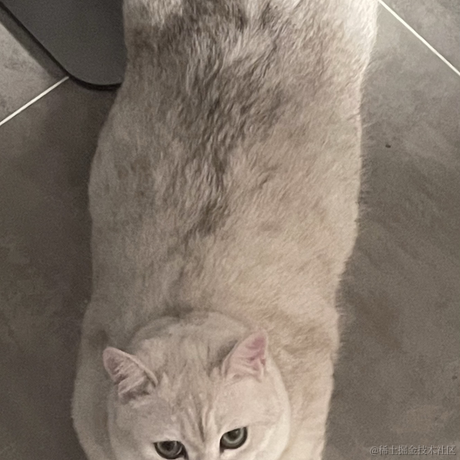 喵怼怼于2023-05-20 21:23发布的图片
