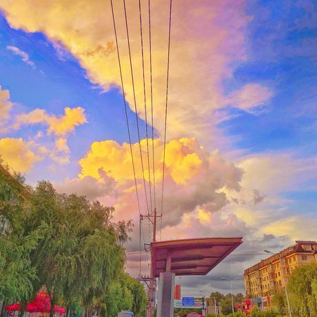 乃琳的火锅底料于2022-11-21 17:53发布的图片