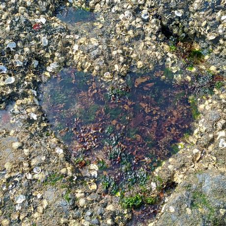 正兴于2023-05-10 10:01发布的图片