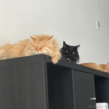 程序员和他的猫于2023-01-19 10:15发布的图片