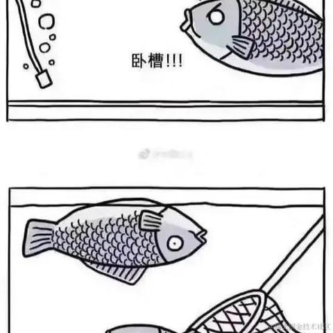 starryHP于2022-01-21 13:53发布的图片