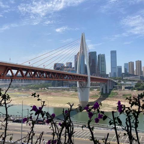 谁来买我的火柴于2023-08-03 17:05发布的图片