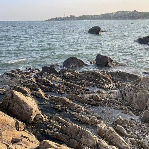 Change_myself于2023-05-04 08:52发布的图片