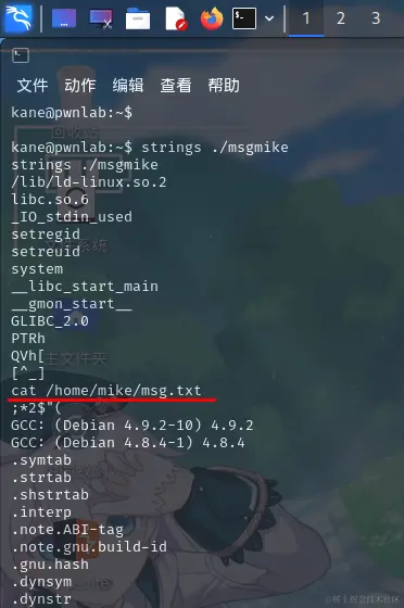 strings分析程序.png