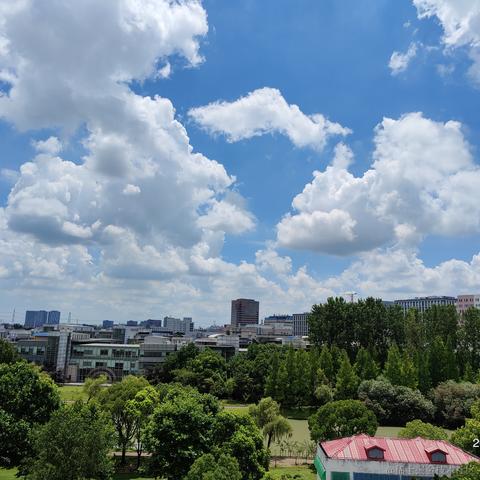 晨出于2023-07-16 14:48发布的图片