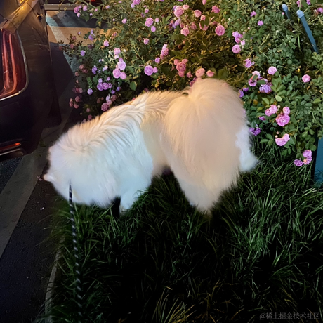 jy007于2023-05-20 17:42发布的图片