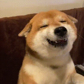 wzz不想写代码于2021-12-01 21:26发布的图片