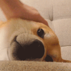 道友请留步_于2023-03-14 10:22发布的图片