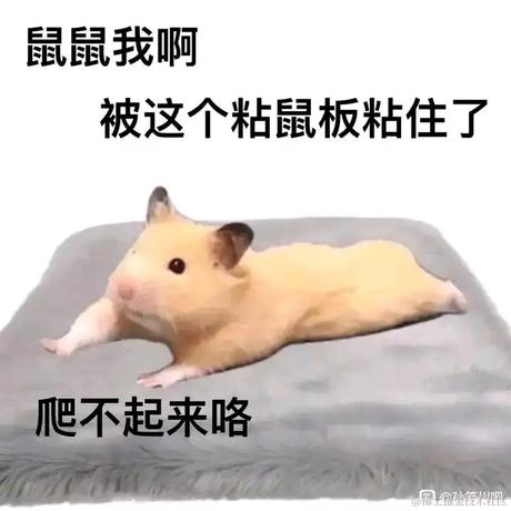 灌注嘉然向晚贝拉乃琳喵于2022-11-23 08:14发布的图片