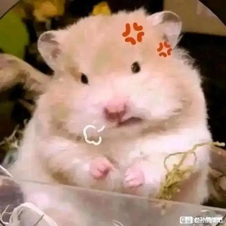 seamax于2022-11-21 17:16发布的图片