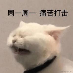 CodingKing于2023-06-12 09:37发布的图片