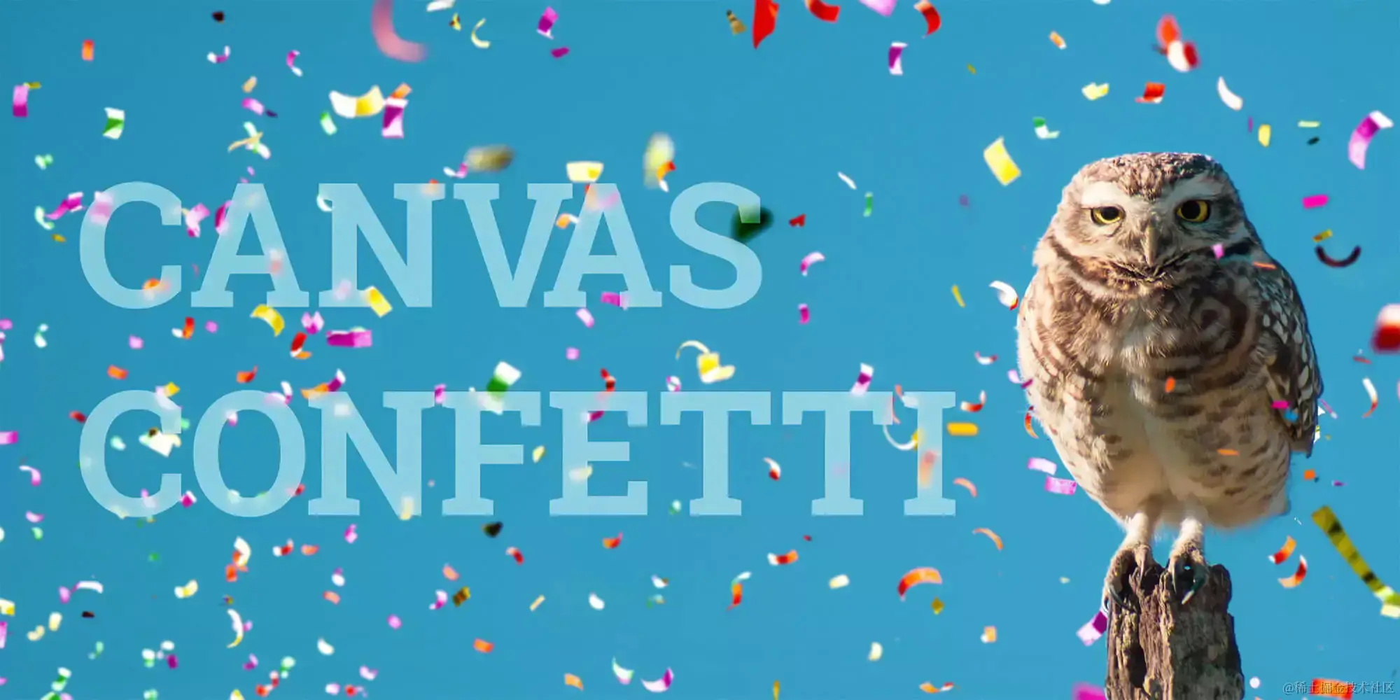 canvas-confetti.webp