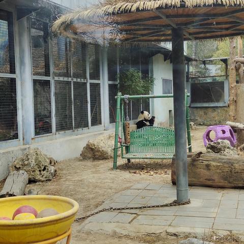 私涙洇于2023-04-04 06:37发布的图片