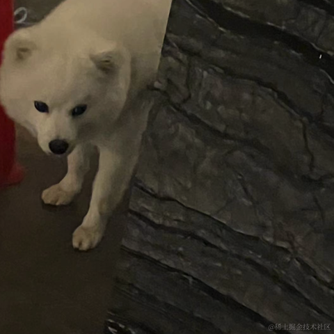 愛穿高跟鞋怎麼啦于2023-08-18 10:21发布的图片