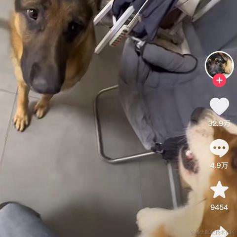 Masters于2022-12-19 09:55发布的图片