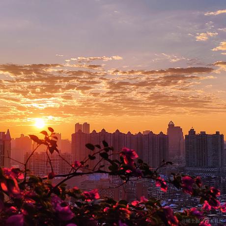 路过的美乐蒂于2022-12-07 08:16发布的图片