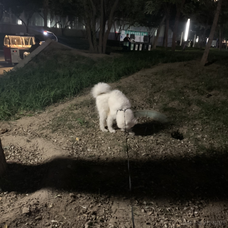 苏煜于2023-10-14 18:07发布的图片