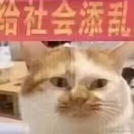 h2o于2022-11-26 10:51发布的图片