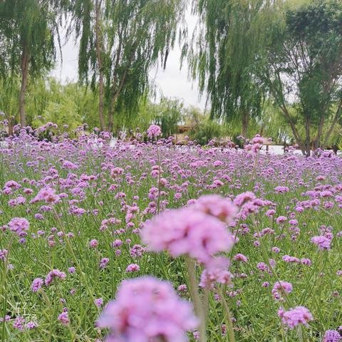 moreThan于2021-07-18 23:59发布的图片