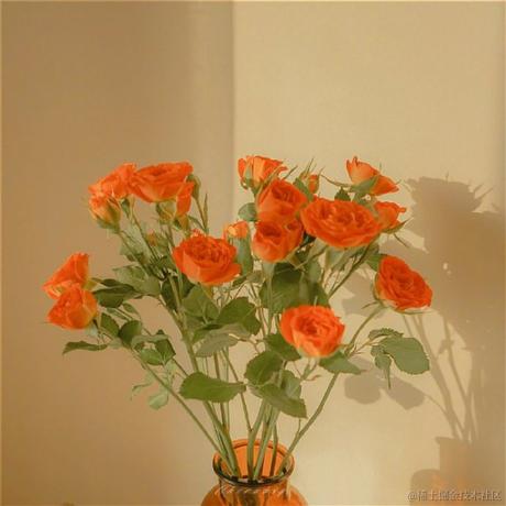 Hello_NGLS于2020-09-10 11:30发布的图片