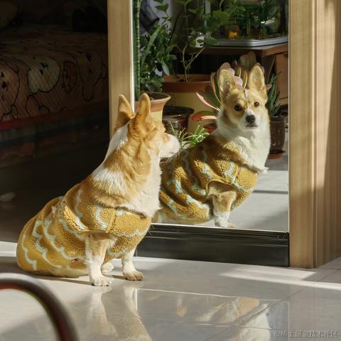 Buda于2022-12-06 22:02发布的图片