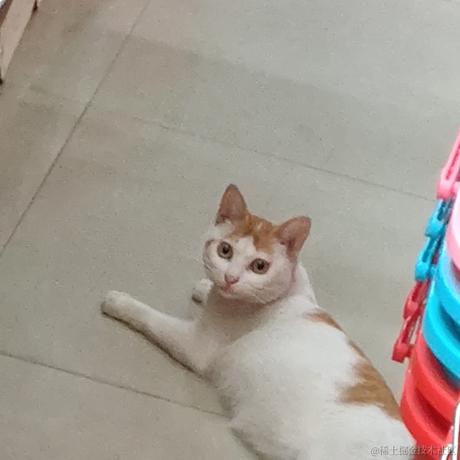 小顶碗人于2022-11-27 22:46发布的图片