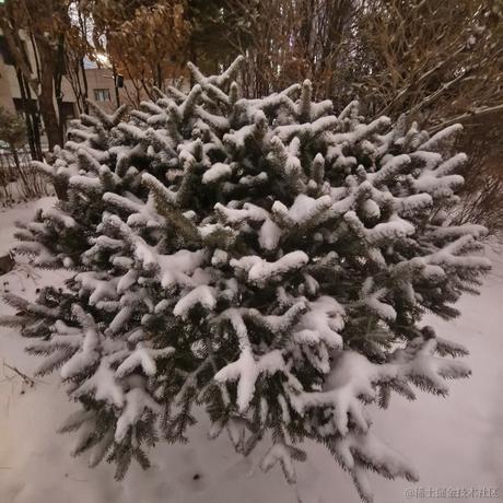 贝极星来喽于2022-12-03 14:14发布的图片